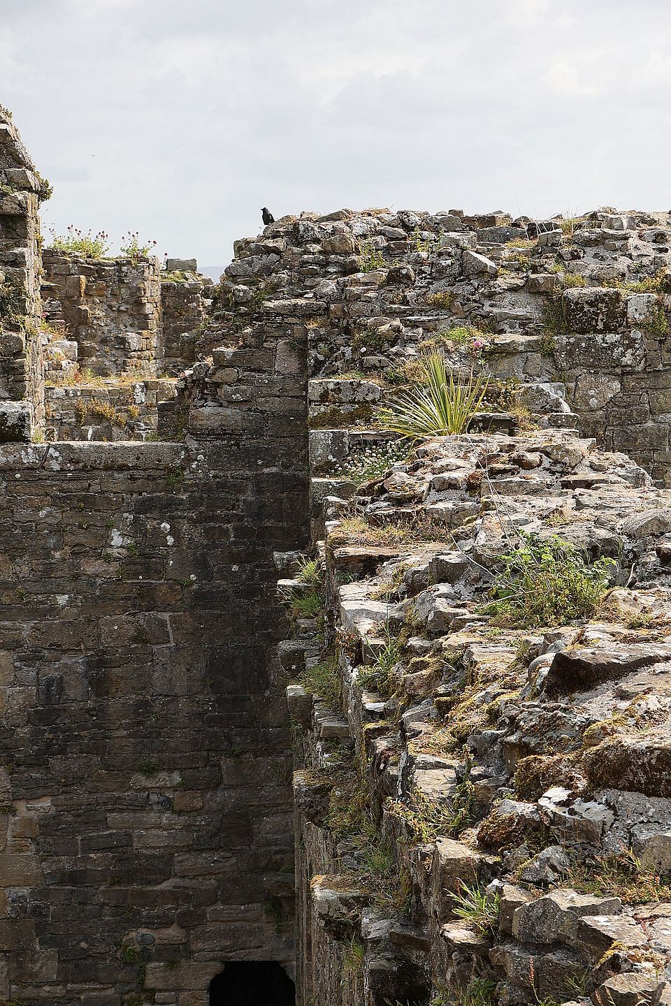 Beaumaris Castle 
