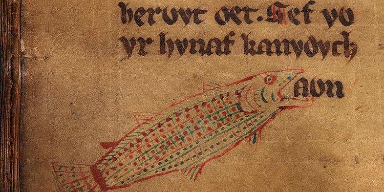 Laws of Hwyel Dda, f. 44v. Fish, Public Domain