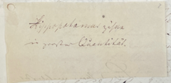 Note that reads "Hippopotamus Zähne in grosser Quantität" (German: “Hippopotamus teeth in large quantity.”)