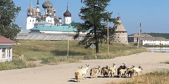 Exkursion Solovki
