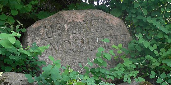 Geschichtsgebrauch