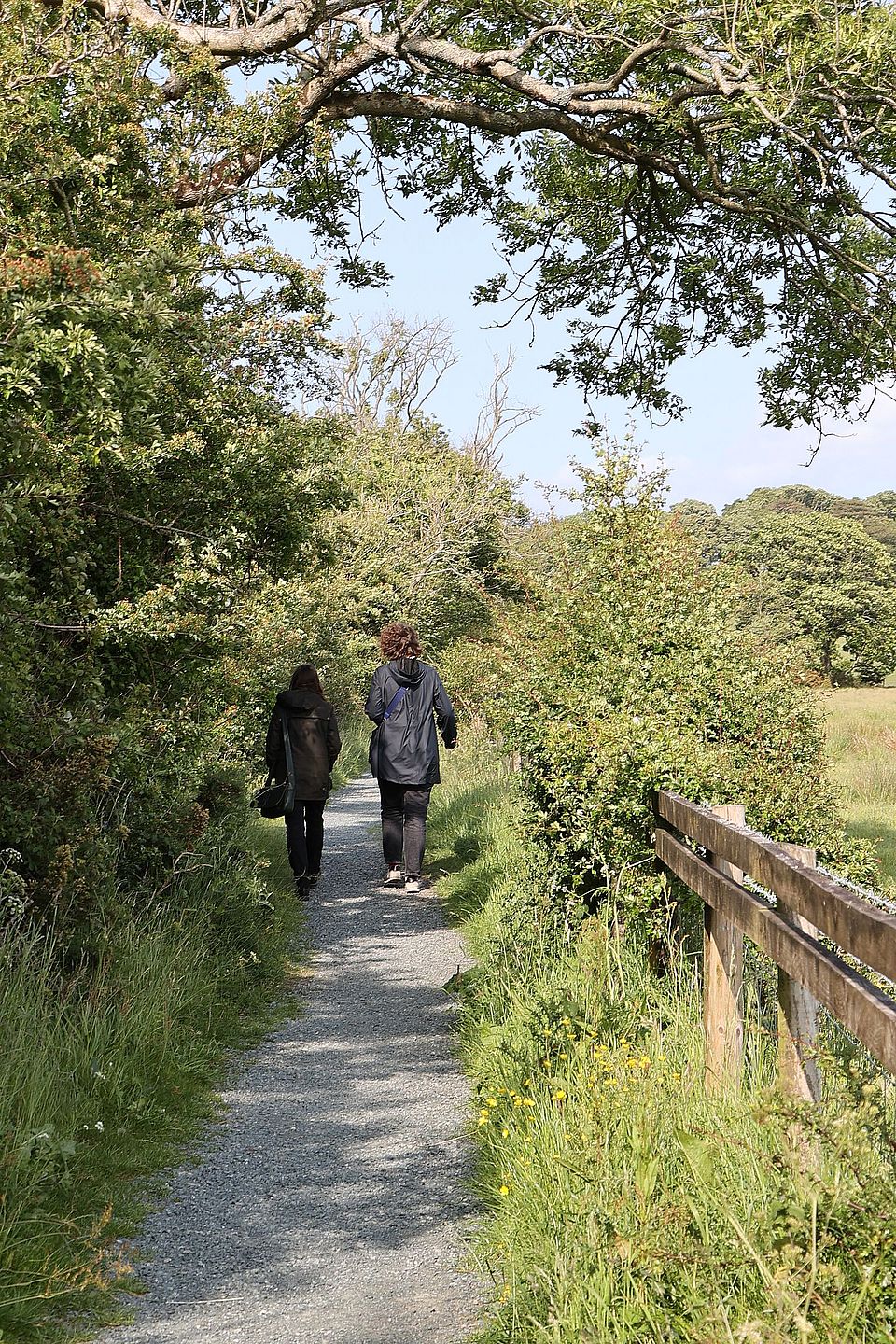 Anglesey 